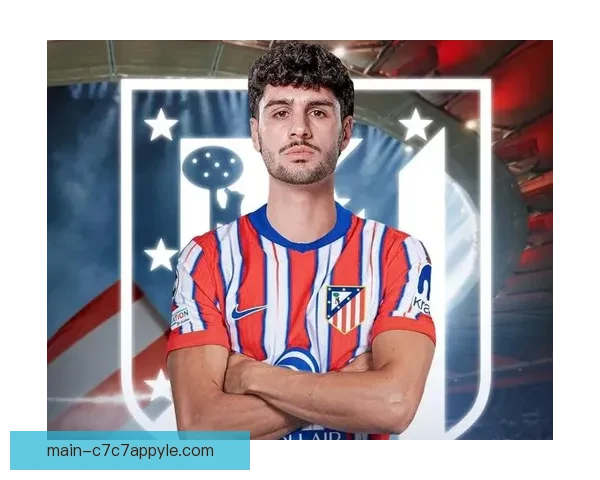 巴萨接近签下哈姆扎月底或官宣 巴萨接近签下哈姆扎月底或官宣