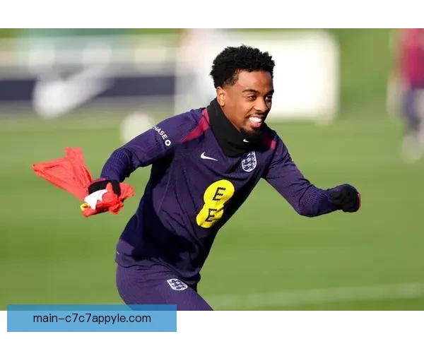 为廷贝尔让路戈梅斯将告别马赛 为廷贝尔让路戈梅斯将告别马赛