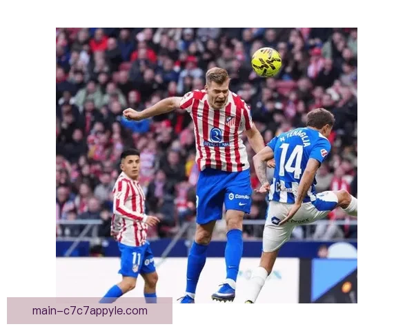 穆里奇领衔瑟洛特瓦纳特入围