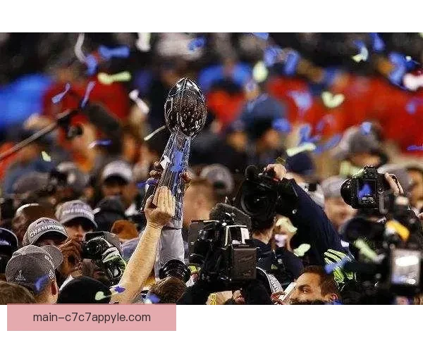 今夏世界杯收视堪比百场超级碗 今夏世界杯收视堪比百场超级碗