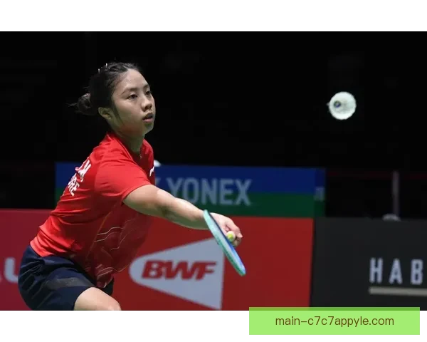 中国羽毛球公开赛：杨佳敏无缘晋级半决赛